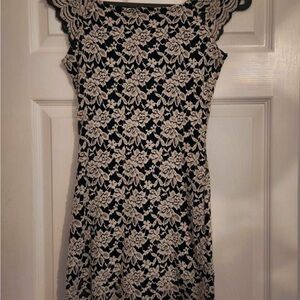 Elegant Lace Mini Dress in Black and Cream